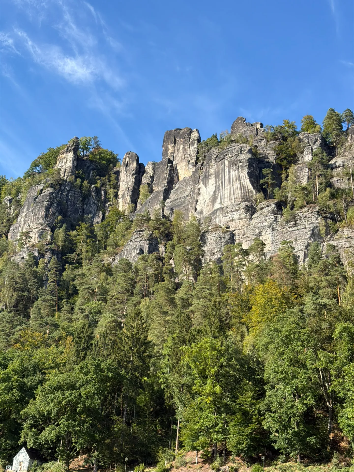 Adolescenți